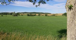 Link to Video | landscape, Saarland, summer, Germany, Saar-Hunsrück Nature Park, Saarlouis, Saargau