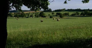 Link to Video | landscape, Saarland, summer, Germany, Saar-Hunsrück Nature Park, Saarlouis, Saargau