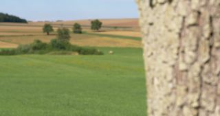 Link zum Video | Landschaft, Saarland, Sommer, Deutschland, Naturpark Saar-Hunsrück, Landkreis Saarlouis, Saargau