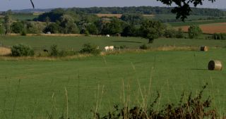 Link zum Video | Landschaft, Saarland, Sommer, Deutschland, Naturpark Saar-Hunsrück, Landkreis Saarlouis, Saargau