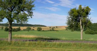 Link zum Video | Landschaft, Saarland, Sommer, Deutschland, Naturpark Saar-Hunsrück, Landkreis Saarlouis, Saargau