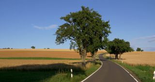 Link to Video | landscape, Saarland, summer, Germany, Saar-Hunsrück Nature Park, Saarlouis, Saargau