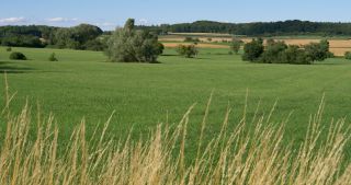 Link to Video | landscape, Saarland, summer, Germany, Saar-Hunsrück Nature Park, Saarlouis, Saargau