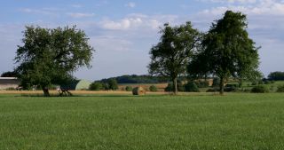 Link zum Video | Landschaft, Saarland, Sommer, Deutschland, Naturpark Saar-Hunsrück, Landkreis Saarlouis, Saargau