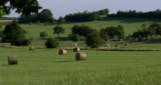 Link to Video | landscape, Saarland, summer, Germany, Saar-Hunsrück Nature Park, Saarlouis, Saargau
