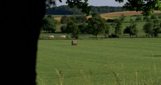 Link zum Video | Landschaft, Saarland, Sommer, Deutschland, Naturpark Saar-Hunsrück, Landkreis Saarlouis, Saargau