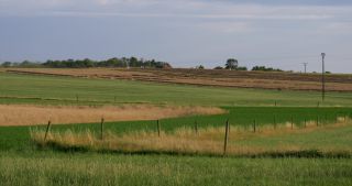 Link zum Video | Landschaft, Saarland, Sommer, Deutschland, Naturpark Saar-Hunsrück, Landkreis Saarlouis, Saargau