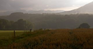 Link to Video | landscape, Saarland, summer, Germany, Saar-Hunsrück Nature Park, Tholey, St. Wendel
