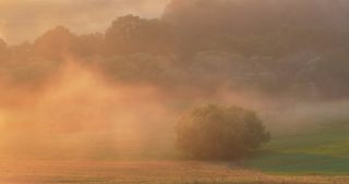 Link zum Video | Landschaft, Saarland, Sommer, Deutschland, Naturpark Saar-Hunsrück, Tholey, Landkreis St. Wendel