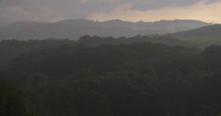 Link zum Video | Landschaft, Saarland, Sommer, Deutschland, Naturpark Saar-Hunsrück, Tholey, Landkreis St. Wendel