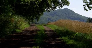 Link to Video | landscape, Saarland, summer, Germany, Saar-Hunsrück Nature Park, Tholey, St. Wendel