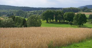 Link to Video | landscape, Saarland, summer, rural area, Germany, Saar-Hunsrück Nature Park, Sankt Wendel, St. Wendel
