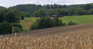 Link to Video | landscape, Saarland, summer, rural area, Germany, Saar-Hunsrück Nature Park, Sankt Wendel, St. Wendel