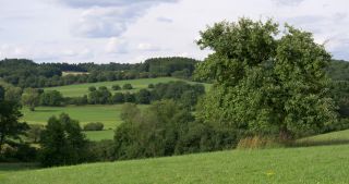 Link to Video | landscape, Saarland, summer, rural area, Germany, Saar-Hunsrück Nature Park, Sankt Wendel, St. Wendel