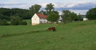 Link to Video | landscape, Saarland, summer, rural area, Germany, Saar-Hunsrück Nature Park, Sankt Wendel, St. Wendel