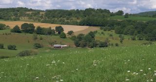 Link to Video | landscape, Saarland, summer, rural area, Germany, Saar-Hunsrück Nature Park, Sankt Wendel, St. Wendel