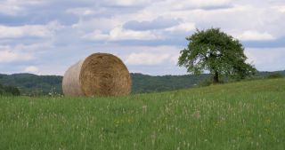 Link to Video | landscape, Saarland, summer, rural area, Germany, Saar-Hunsrück Nature Park, Sankt Wendel, St. Wendel