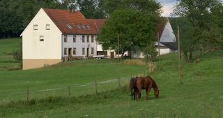 Link zum Video | Landschaft, Saarland, Sommer, ländlicher Raum, Deutschland, Naturpark Saar-Hunsrück, St. Wendel, Landkreis St. Wendel