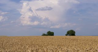 Link to Video | landscape, Saarland, summer, Germany, Saar-Hunsrück Nature Park, Perl, Merzig-Wadern