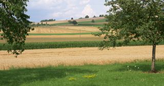 Link zum Video | Landschaft, Saarland, Sommer, Deutschland, Naturpark Saar-Hunsrück, Perl, Landkreis Merzig-Wadern