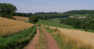 Link to Video | landscape, 2017, Rhineland-Palatinate, summer, rural area, Germany, Saar-Hunsrück Nature Park, Saarburg, Trier-Saarburg, Saargau