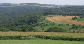 Link to Video | landscape, 2017, Rhineland-Palatinate, summer, rural area, Germany, Saar-Hunsrück Nature Park, Saarburg, Trier-Saarburg, Saargau