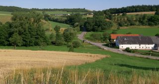 Link to Video | landscape, 2017, Rhineland-Palatinate, summer, rural area, Germany, Saar-Hunsrück Nature Park, Saarburg, Trier-Saarburg, Saargau