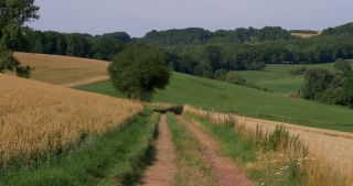 Link zum Video | Landschaft, 2017, Rheinland-Pfalz, Sommer, ländlicher Raum, Deutschland, Naturpark Saar-Hunsrück, Verbandsgemeinde Saarburg, Landkreis Trier-Saarburg, Saargau