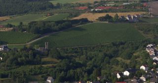 Link zum Video | Landschaft, 2017, Rheinland-Pfalz, Sommer, Saar, Deutschland, Naturpark Saar-Hunsrück, Weinberg, Wein, Riesling, Verbandsgemeinde Saarburg, Landkreis Trier-Saarburg