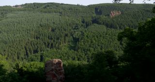 Link zum Video | Landschaft, 2017, Rheinland-Pfalz, Sandstein, Sommer, Deutschland, Naturpark Saar-Hunsrück, Wald, Hügel, Kastel-Staadt, Verbandsgemeinde Saarburg, Landkreis Trier-Saarburg