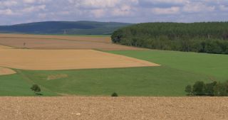 Link to Video | landscape, 2017, Rhineland-Palatinate, summer, rural area, Germany, Saar-Hunsrück Nature Park, Hunsrück, Saarburg, Kell am See, Trier-Saarburg