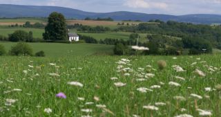 Link to Video | landscape, Saarland, summer, Germany, Saar-Hunsrück Nature Park, 4K resolution, 2017, Losheim am See, Merzig-Wadern