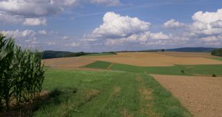 Link to Video | landscape, 2017, Rhineland-Palatinate, summer, rural area, Germany, Saar-Hunsrück Nature Park, Hunsrück, Saarburg, Kell am See, Trier-Saarburg