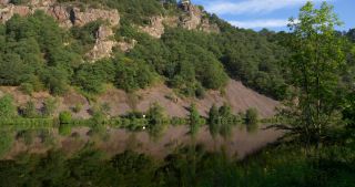 Link to Video | landscape, 2017, Rhineland-Palatinate, summer, Saar, Germany, Saar-Hunsrück Nature Park, vineyard, wine, Riesling, Saarburg, Trier-Saarburg
