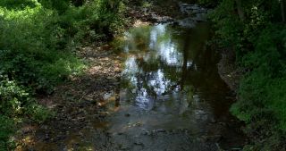 Link to Video | 2017, Rhineland-Palatinate, summer, Germany, Saar-Hunsrück Nature Park, forest, natural watercourse, Freudenburg, Saarburg, Leukbach, Trier-Saarburg