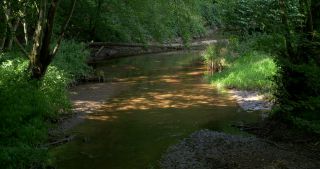 Link to Video | 2017, Rhineland-Palatinate, summer, Germany, Saar-Hunsrück Nature Park, forest, natural watercourse, Freudenburg, Saarburg, Leukbach, Trier-Saarburg
