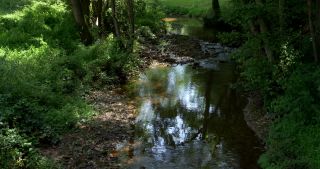 Link to Video | 2017, Rhineland-Palatinate, summer, Germany, Saar-Hunsrück Nature Park, forest, natural watercourse, Freudenburg, Saarburg, Leukbach, Trier-Saarburg