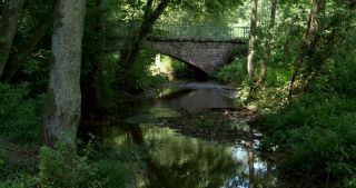 Link to Video | 2017, Rhineland-Palatinate, summer, Germany, Saar-Hunsrück Nature Park, forest, natural watercourse, Freudenburg, Saarburg, Leukbach, Trier-Saarburg