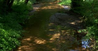 Link to Video | 2017, Rhineland-Palatinate, summer, Germany, Saar-Hunsrück Nature Park, forest, natural watercourse, Freudenburg, Saarburg, Leukbach, Trier-Saarburg