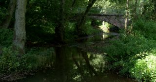 Link to Video | 2017, Rhineland-Palatinate, summer, Germany, Saar-Hunsrück Nature Park, forest, natural watercourse, Freudenburg, Saarburg, Leukbach, Trier-Saarburg
