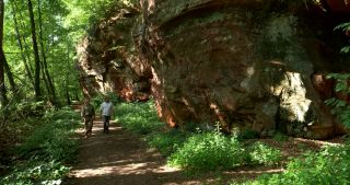 Link to Video | 2017, Rhineland-Palatinate, summer, Germany, Saar-Hunsrück Nature Park, forest, natural watercourse, Freudenburg, Saarburg, Leukbach, Trier-Saarburg