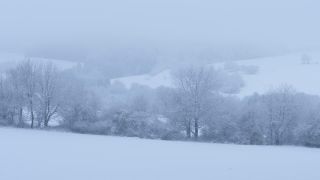 Link to Video | Saarland, winter, rural area, Germany, 4K resolution, 2021, Marpingen, St. Wendel, snow