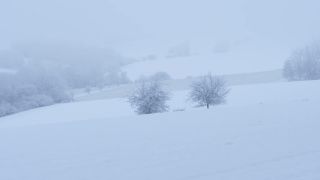 Link to Video | Saarland, winter, rural area, Germany, 4K resolution, 2021, Marpingen, St. Wendel, snow