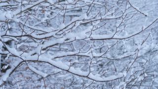Link to Video | Saarland, winter, rural area, Germany, 4K resolution, 2021, Marpingen, St. Wendel, snow
