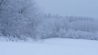 Link to Video | Saarland, winter, rural area, Germany, 4K resolution, 2021, Marpingen, St. Wendel, snow
