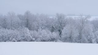 Link zum Video | Saarland, Winter, ländlicher Raum, Deutschland, 4K, 2021, Marpingen, Landkreis St. Wendel, Schnee