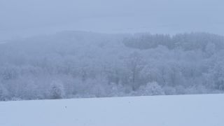 Link zum Video | Saarland, Winter, ländlicher Raum, Deutschland, 4K, 2021, Marpingen, Landkreis St. Wendel, Schnee