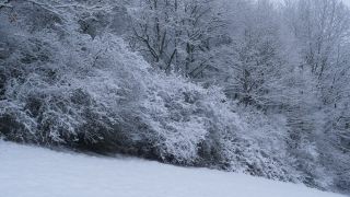 Link to Video | Saarland, winter, rural area, Germany, 4K resolution, 2021, Marpingen, St. Wendel, snow