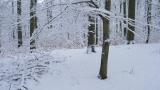 Link to Video | Saarland, winter, rural area, Germany, 4K resolution, 2021, Marpingen, St. Wendel, snow