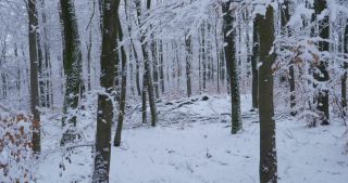 Link to Video | Saarland, winter, rural area, Germany, 4K resolution, 2021, Marpingen, St. Wendel, snow